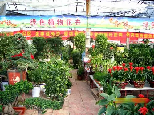 做鮮花批發(fā)有什么適合管理進(jìn)銷存的軟件嗎？